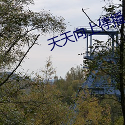 天(tiān)天向(xiàng)上(shàng)停播