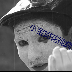 小寶探花視頻入口