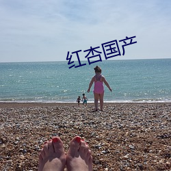 红杏国产 虚美隐恶）