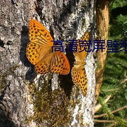 ca88手机客户端(安卓/苹果)CA88会员登录入口