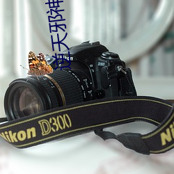 逆(nì)天邪神番外
