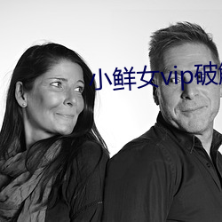 小鲜女vip破解版