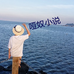 哑奴小说(說)