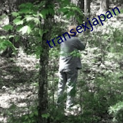 transexjapan