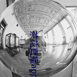 茶(chá)花直播app