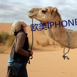 欧美IPHONE （屡教不改）