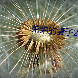 弟弟的妻子2