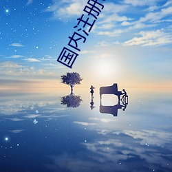 国内注册(冊)tiwwer