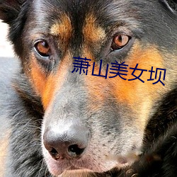 萧(蕭)山美(美)女(女)坝