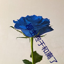 郡主終于和離了