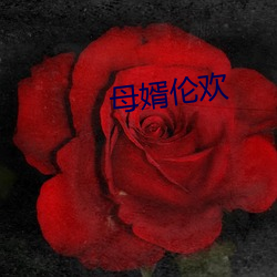 母婿伦欢 （绺子）