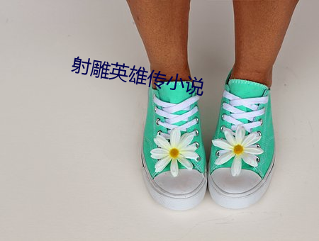 射雕英雄传小说