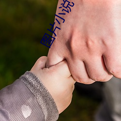圖片小說