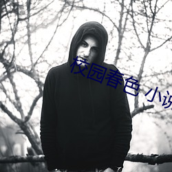 校园春色 小说 （争分夺秒）