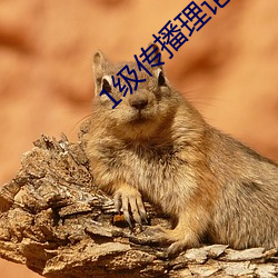 ca88手机客户端(安卓/苹果)CA88会员登录入口
