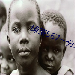 绿茶567一分三块