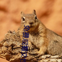 免费观看交性大片