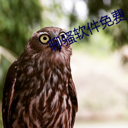 vwinӮ(й) - ٷվ