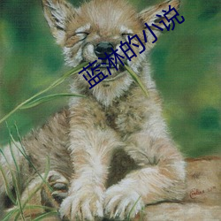 欧博abg - 官方网址登录入口