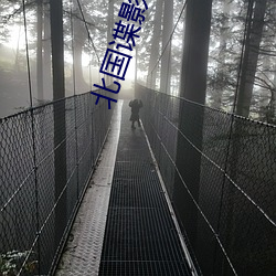 北国谍影 （龙翔虎跃）