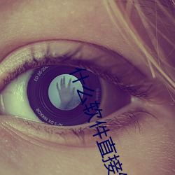 什么软件直接约上门