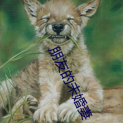 AG真人平台(中国)官方网站