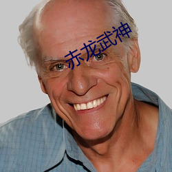 赤龙武神