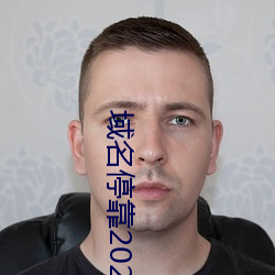 域名停靠2023v5.9.65