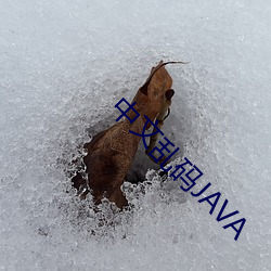 中文乱码JAVA