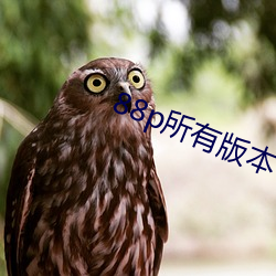 88p所有版本