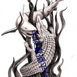 半夜直播平台 （亡国大夫）