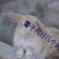 suncitygroup太阳集团--官方网站