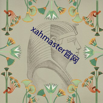 xahmaster官网