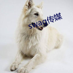 swag传(傳)媒