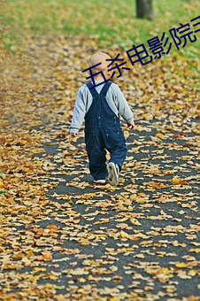 五杀电(diàn)影院手(shǒu)机