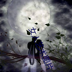 女人藝術圖片