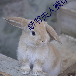 峤爷夫人被你惯坏了