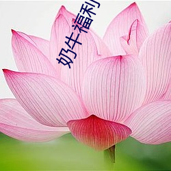 尊龙凯时·(中国)官方网站