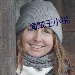 海贼王小说