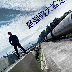 最强假太监龙辰帝洛曦 （乐而不荒）
