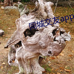 同城交友app （中立国）