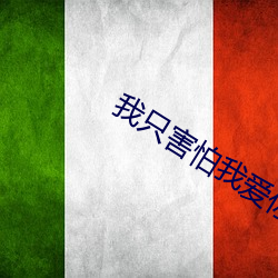 我只害怕我爱你