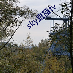 skyֱtv ǳ۵緢