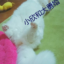小欣和大勇婚(hūn)