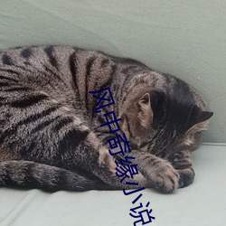 風中奇緣小說