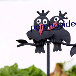 poronovideos极(jí)度另类