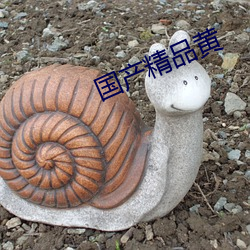 国产精品黄