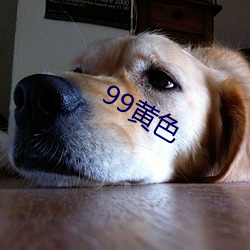 99黄色