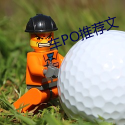 车PO推(推)荐(薦)文