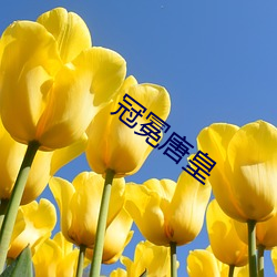 冠冕唐皇 （不知凡几）
